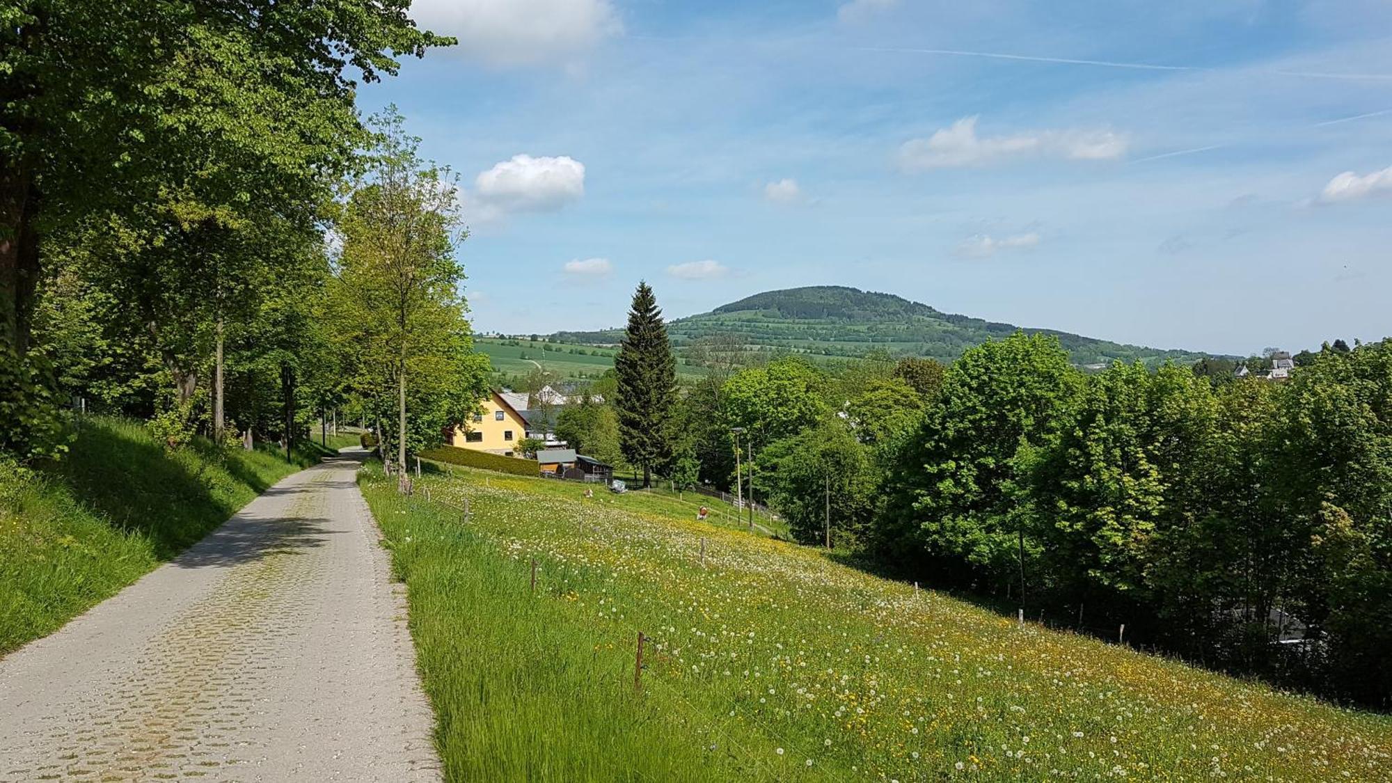 Appartement Waldhufenidyll Koenigswalde Im Erzgebirge à Konigswalde Extérieur photo